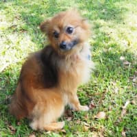 Photo of Freddy
