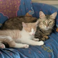 Photo of Queenie♥️