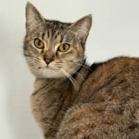 Photo of Sally Field (9004)