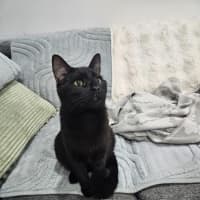 Photo of Bell