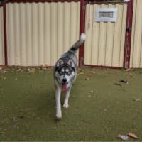 Photo of Hunter