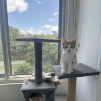 Photo of Elodie & Etienne