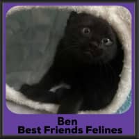 Photo of Ben