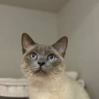 Photo of Precious