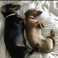 Photo of Benji And Saide