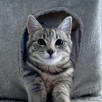 Photo of Eddie & Dot