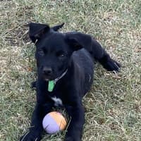 Photo of Fred