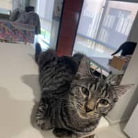 Photo of Cooper Aka Eddie