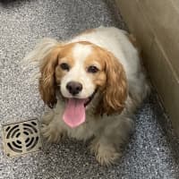 Photo of Cheezel 