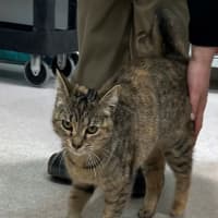 Photo of Sally Field (9004)