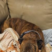 Photo of Turbo