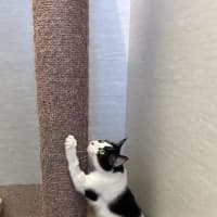 Photo of Penni