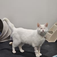 Photo of Tilly