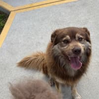 Photo of Bundy