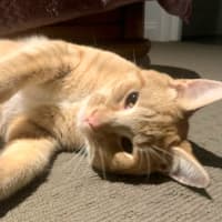 Photo of Sammy