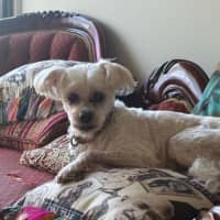 Photo of Wally And Ollie Peggotty