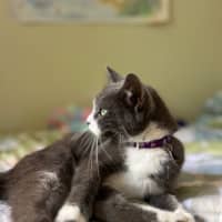 Photo of Stormy