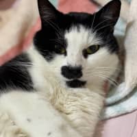 Photo of Miss Louise 