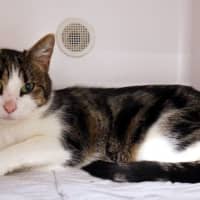 Photo of Zola Sta014123