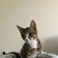 Photo of Your Uncle Kevin