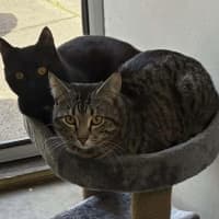 Photo of Augustus & Douglas 