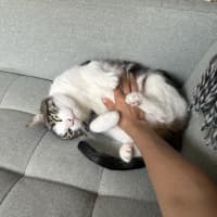 Photo of Coffee   Located In Thornbury