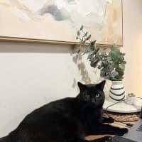 Photo of Kisa