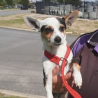 Photo of Wanda