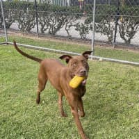 Photo of Jude