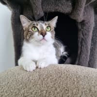 Photo of Janice