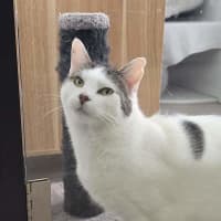 Photo of Theodore
