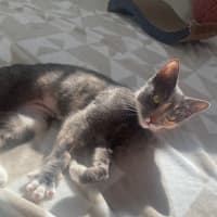 Photo of Macey