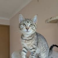 Photo of Kyla