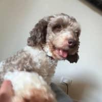 Photo of Sharnie