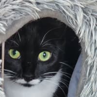 Photo of Maggie