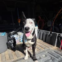 Photo of Annie