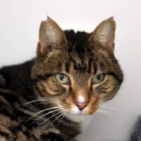 Photo of Lex Sta013973