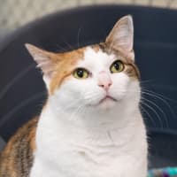 Photo of Hazel Moriarty