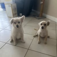 Photo of Handsome Jack 