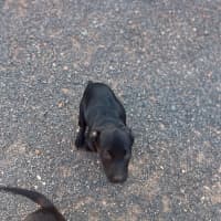 Photo of Felice (Astrid)