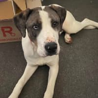 Photo of Jinkx Monsoon