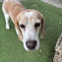 Photo of Post Malone