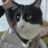 Photo of Alfie