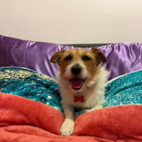 Photo of Aero