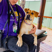 Photo of Missy