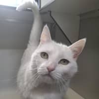 Photo of Tofu