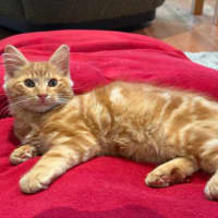 Photo of Hansel Moriarty