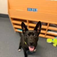 Photo of Flip