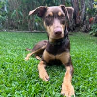 Photo of Spike
