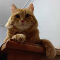 Photo of Ed
